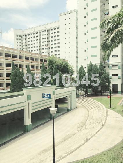 Blk 962 Hougang Avenue 9 (Hougang), HDB 5 Rooms #140272732